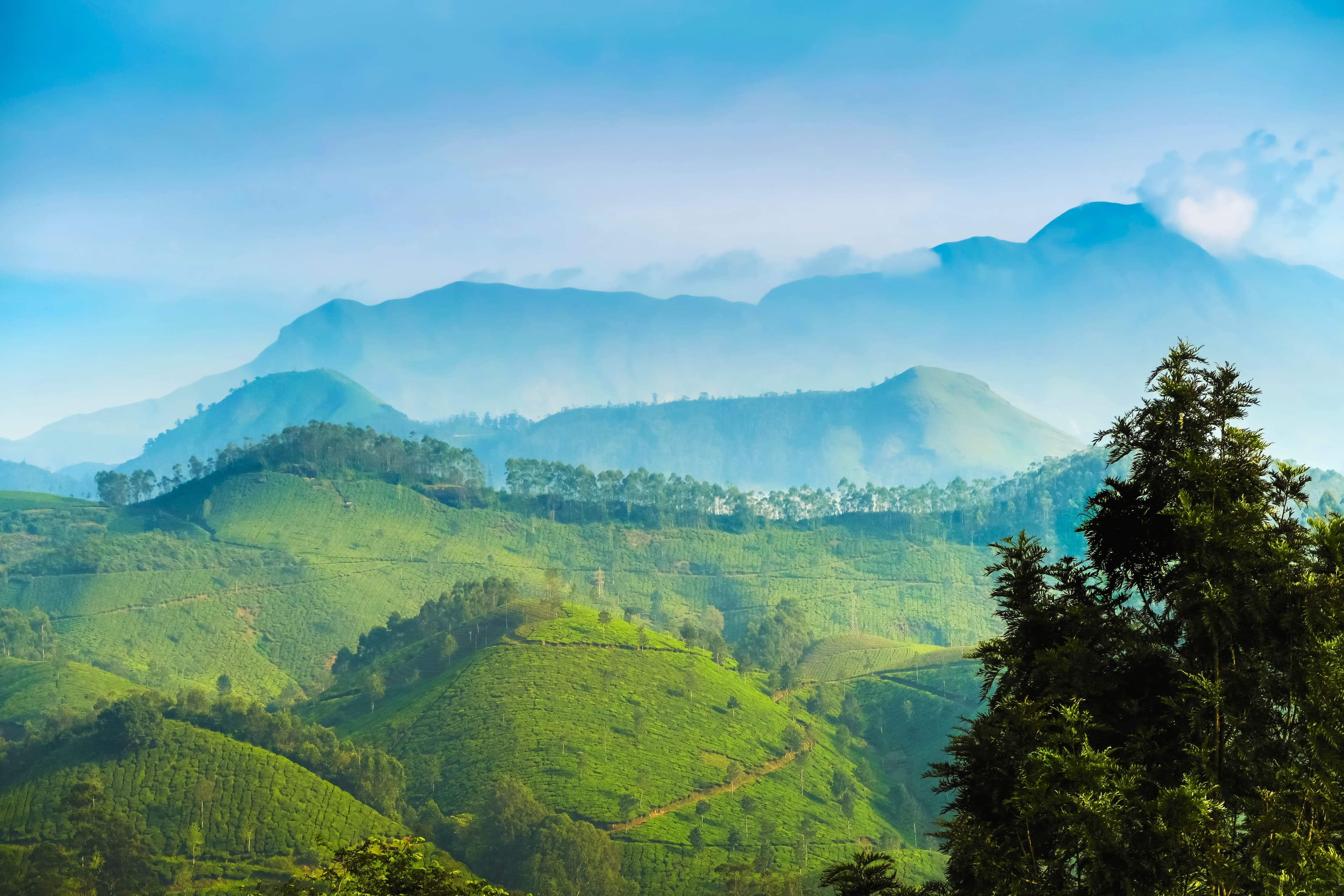 Inde du Sud